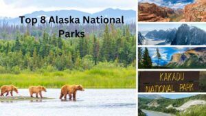 Top 8 Alaska National Parks